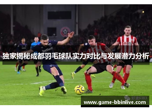 独家揭秘成都羽毛球队实力对比与发展潜力分析